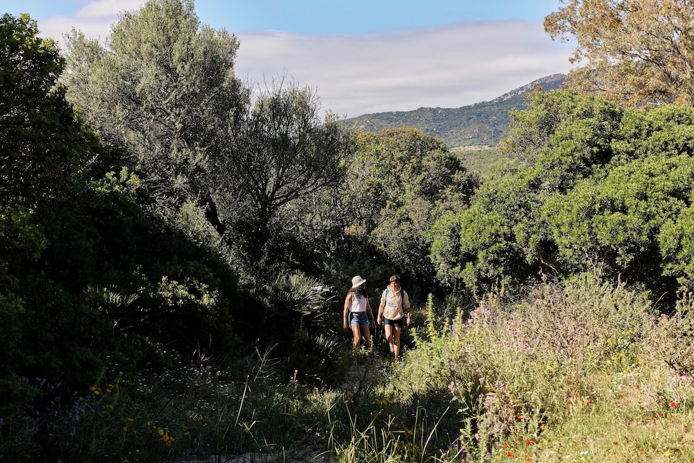TAIGA Tarifa Valdevaqueros