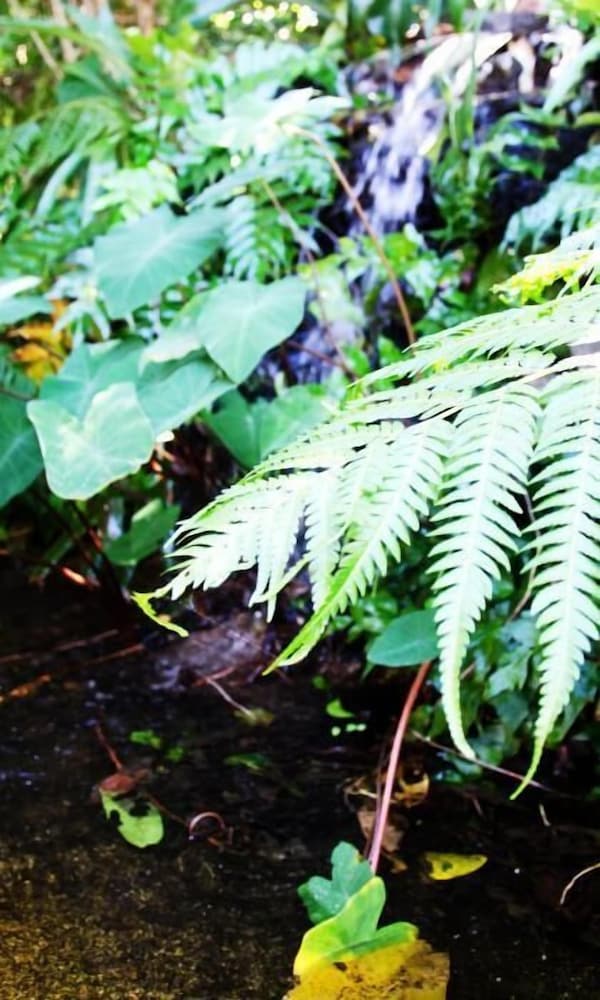 Urangan Vacations - Barooga On Pier - Property Image 9