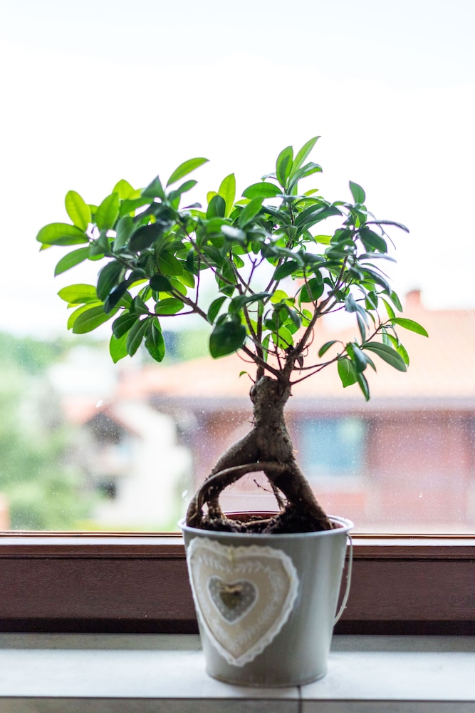 other
