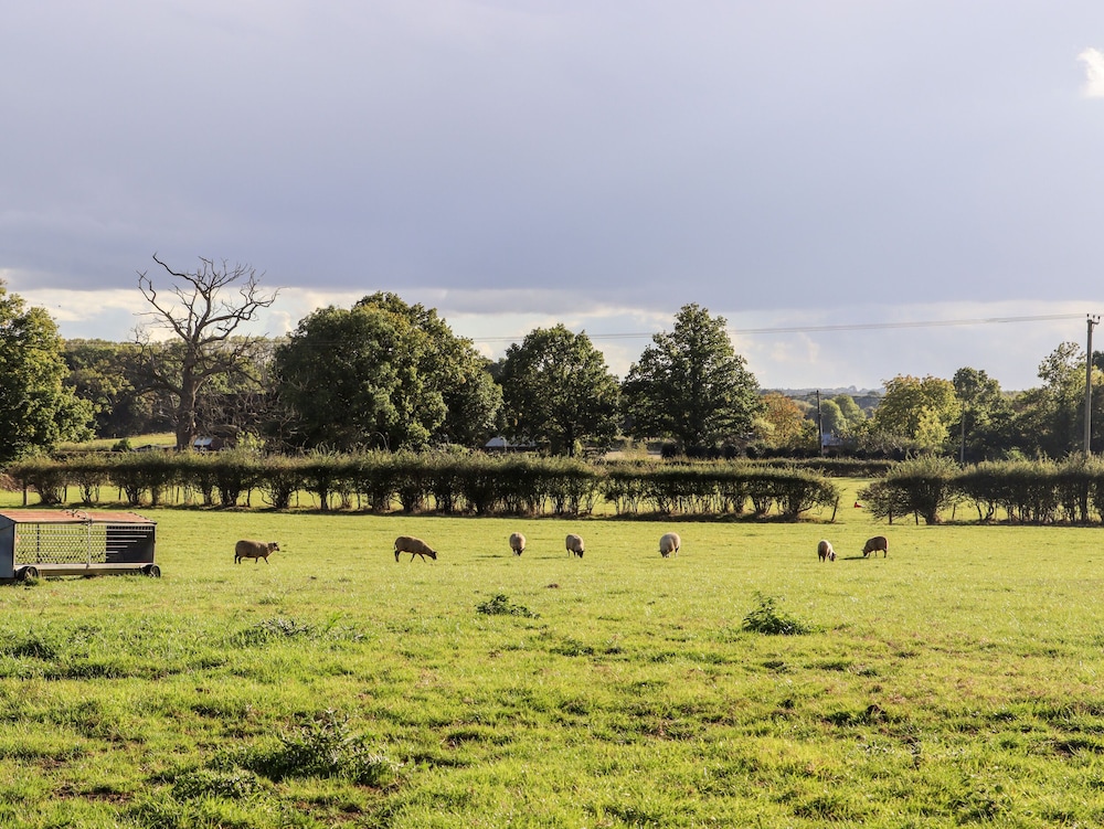 The Milking Parlour