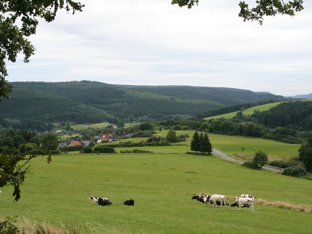 Bungalow in Eifel Near Mountain Trails