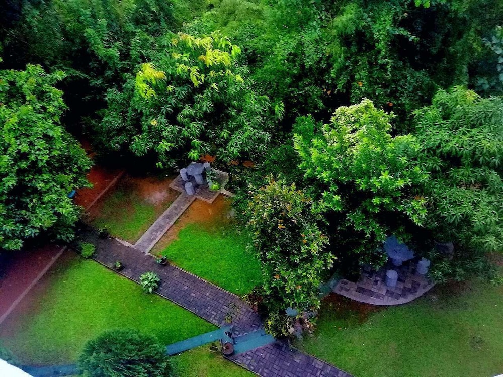 Hotel Lion Nature