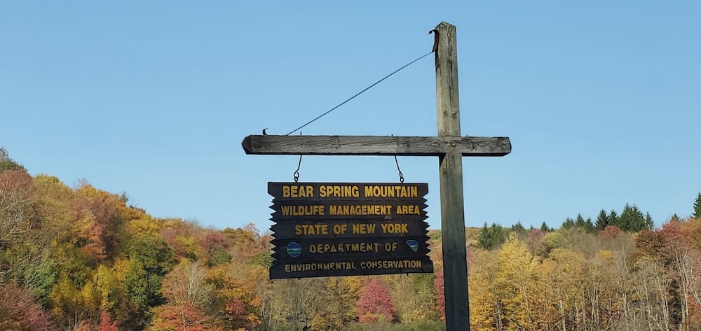 Catskill Retreat