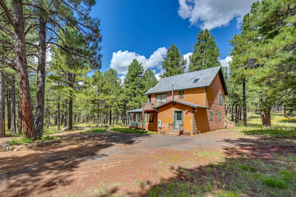 Hike & Fish: Parks Cabin w/ Balcony & Forest Views