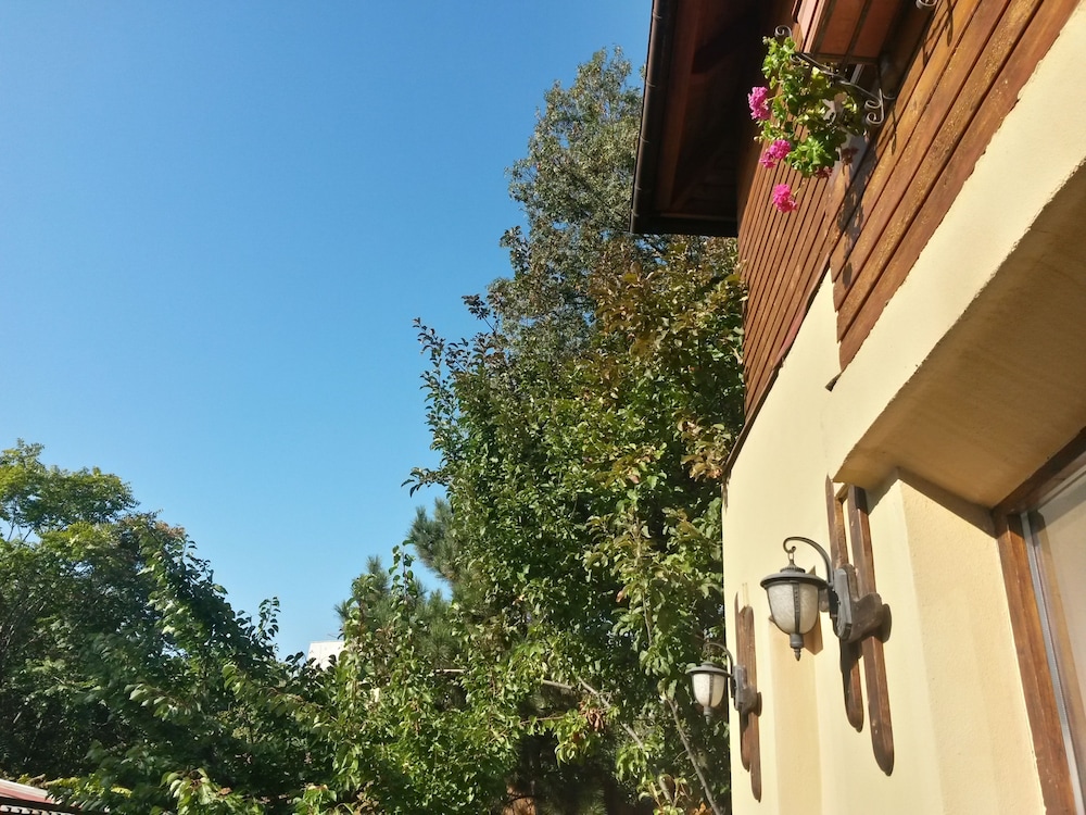 Photo 52