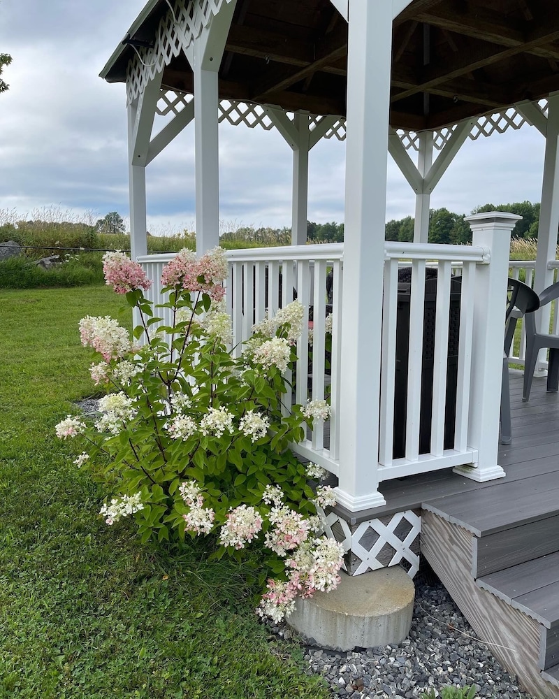 Blueberry Fields B&B