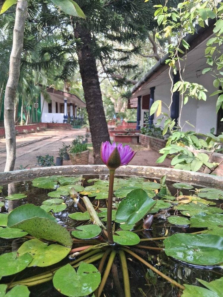 Nature Lodge Habarana