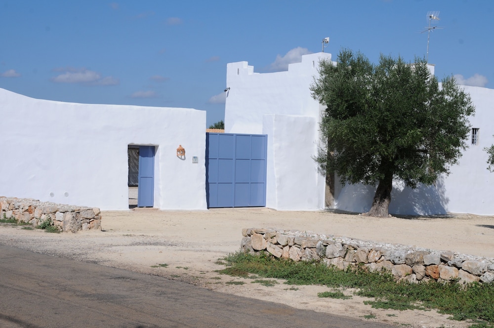 Photo 43
