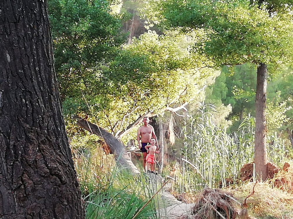 Casa Rural Puente Del Segura B