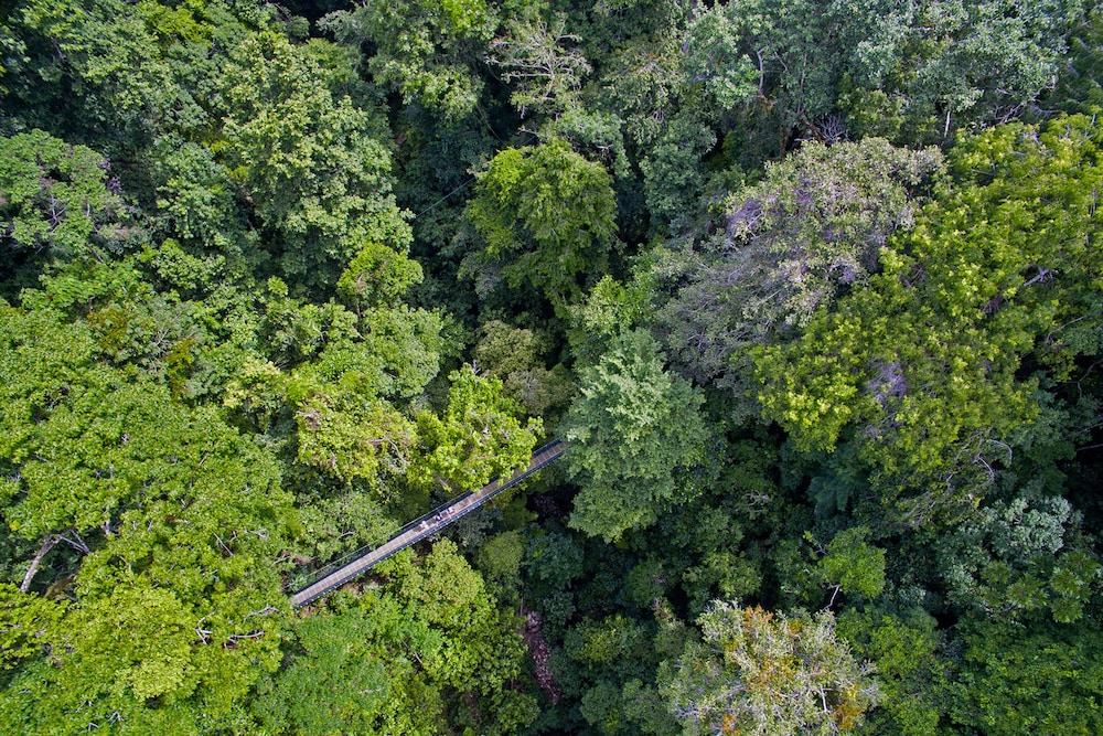 El Remanso Rainforest Lodge