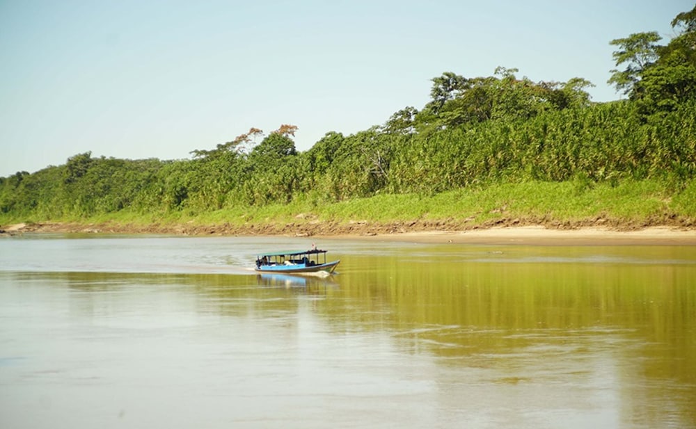 Area de Conservacion Bahuaja - Ecolodge view 5