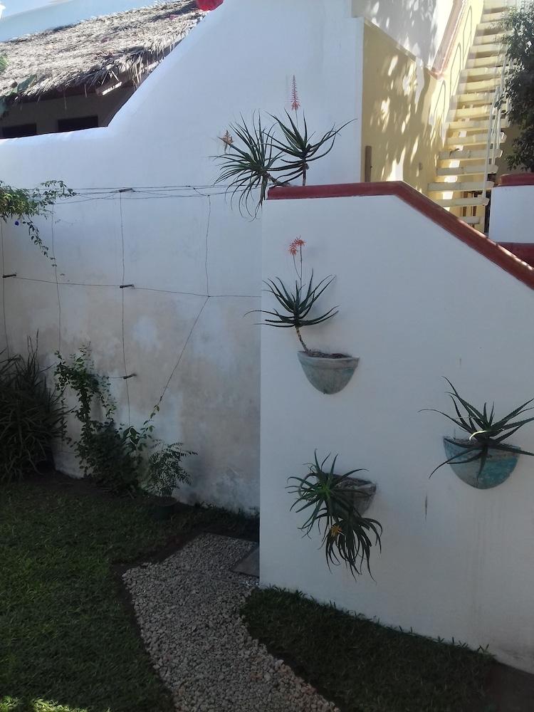 Jardim dos Aloés - Unique B&B, photo 81