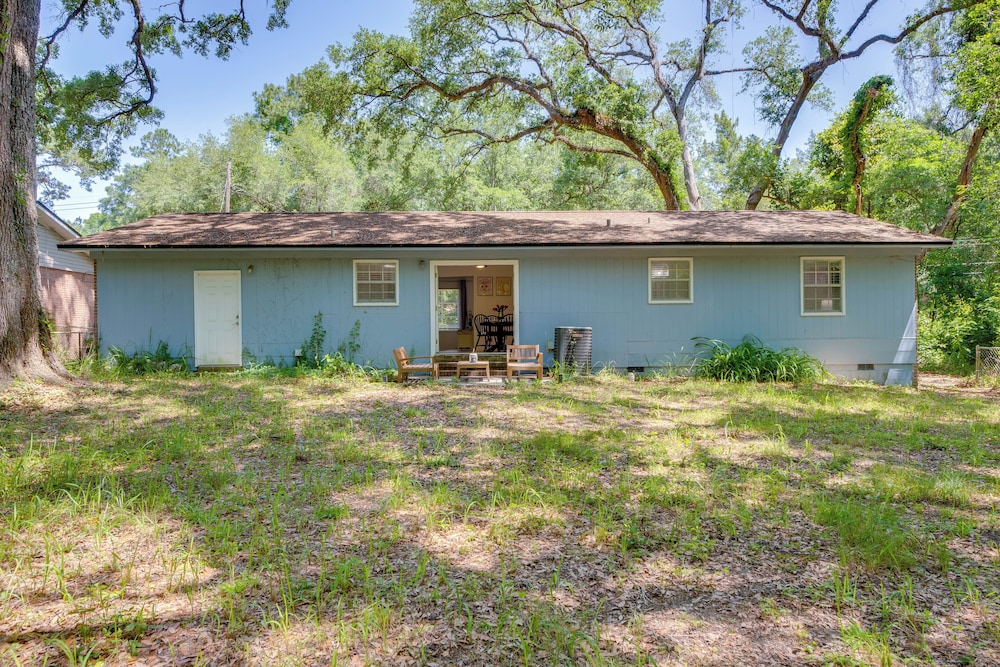 Walk to Lake Munson: Tree-filled Tallahassee Gem!