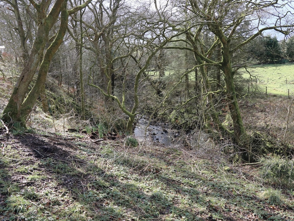 Austwick