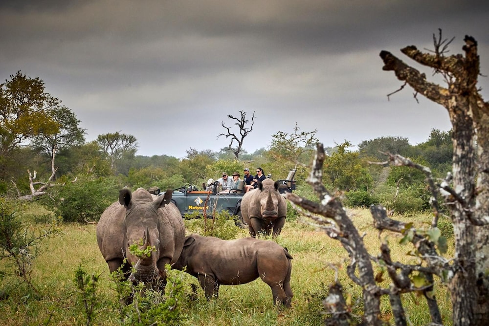 Motswari Private Game Reserve Resort by NEWMARK
