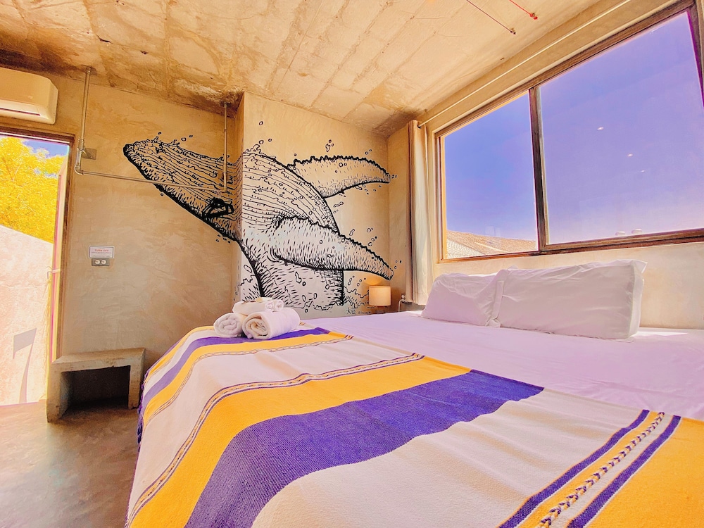 Perro Surfero Hotel Boutique - Todos Santos, BCS