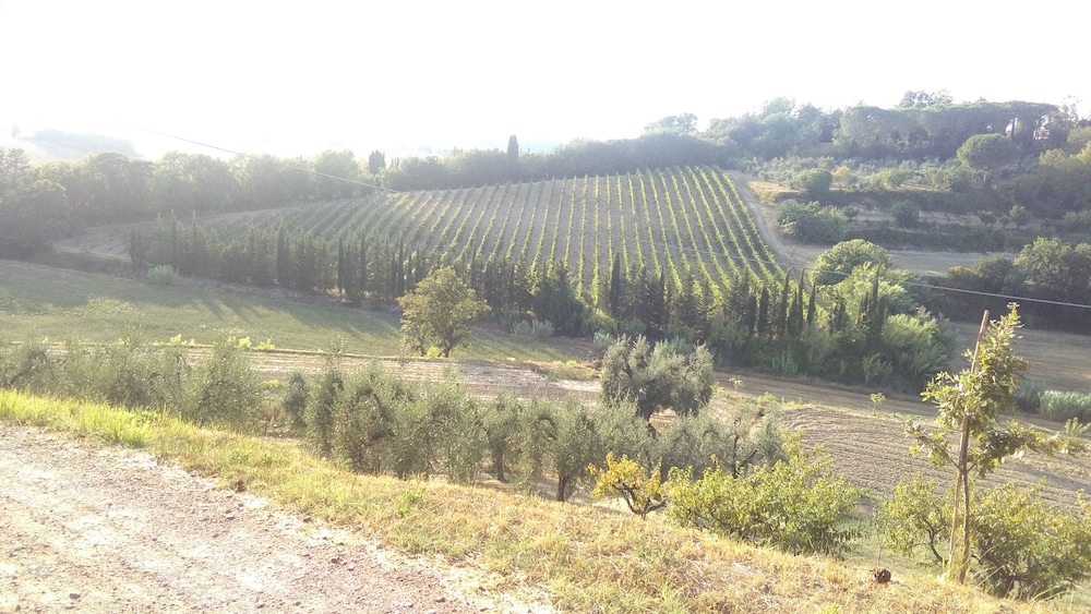 Agriturismo I Greppioli view 3