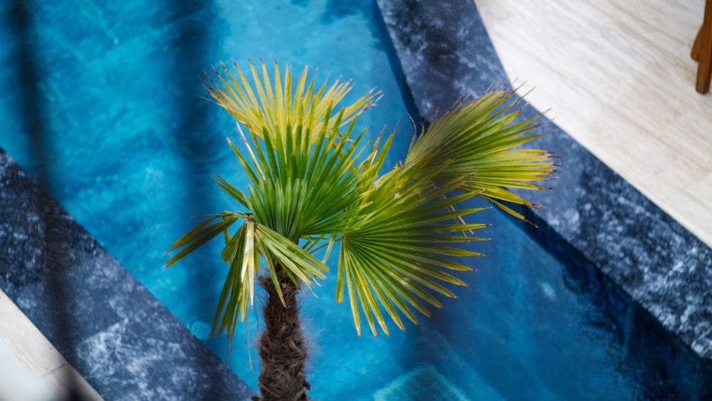 Avlu Alacati Butik Otel - Image 8