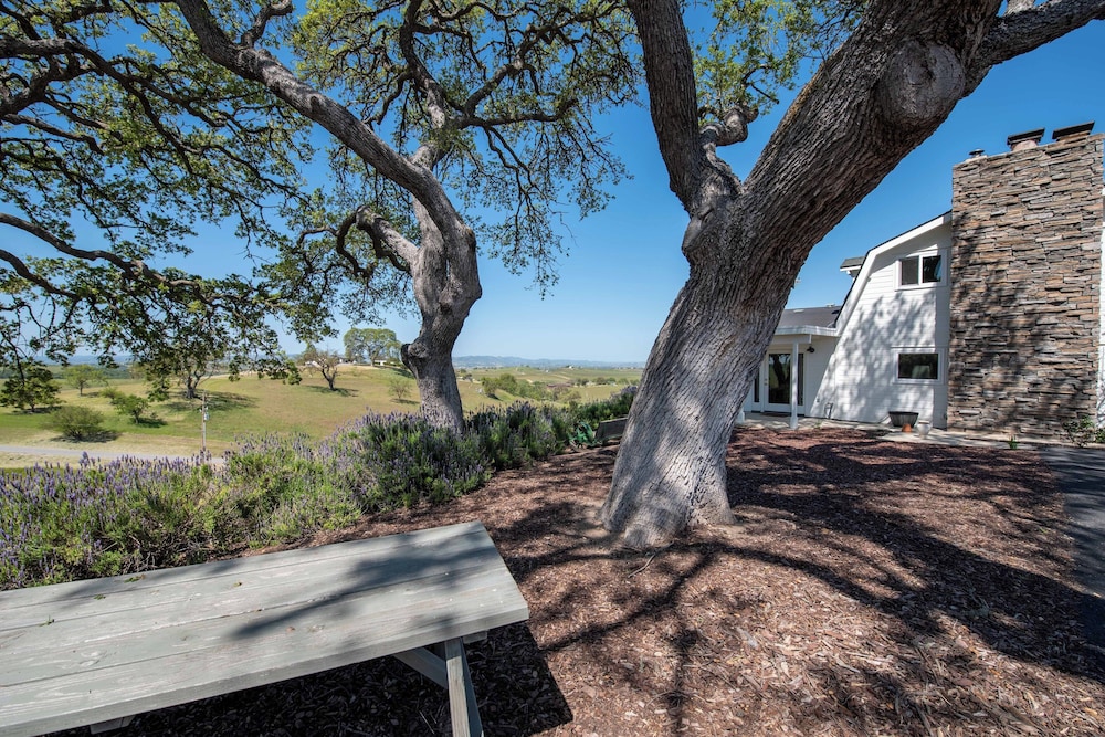 Hidden Acre Vineyard Estate