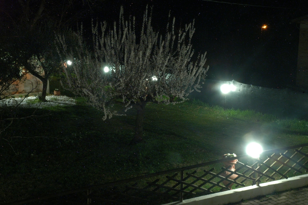B&B Falco Bianco