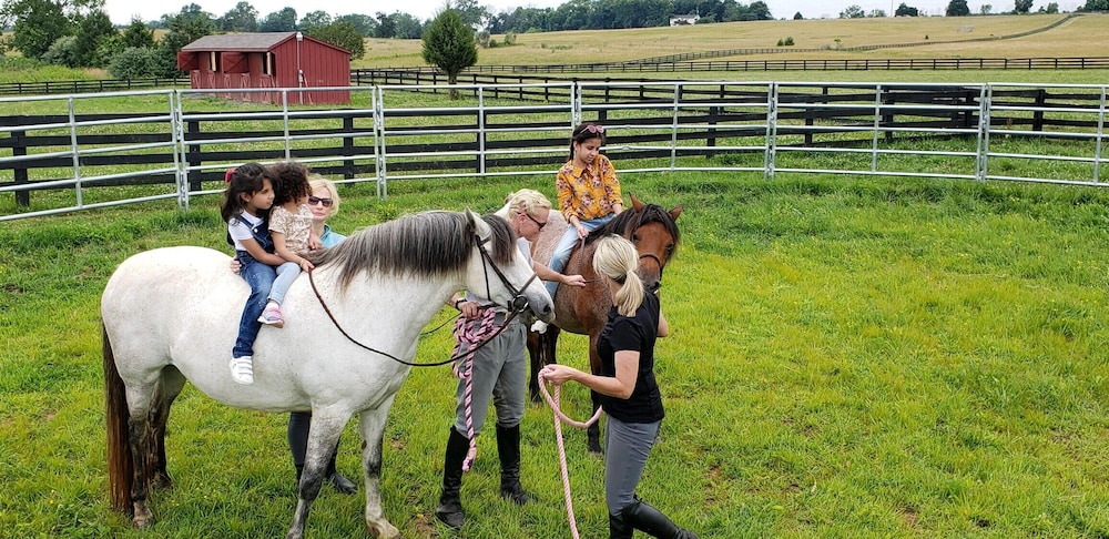 Leesburg Vacations - The Manor at Courtland Farm - Property Image 102