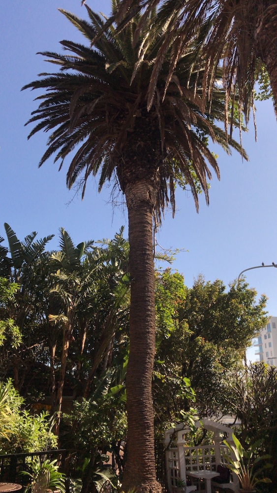 Photo 41