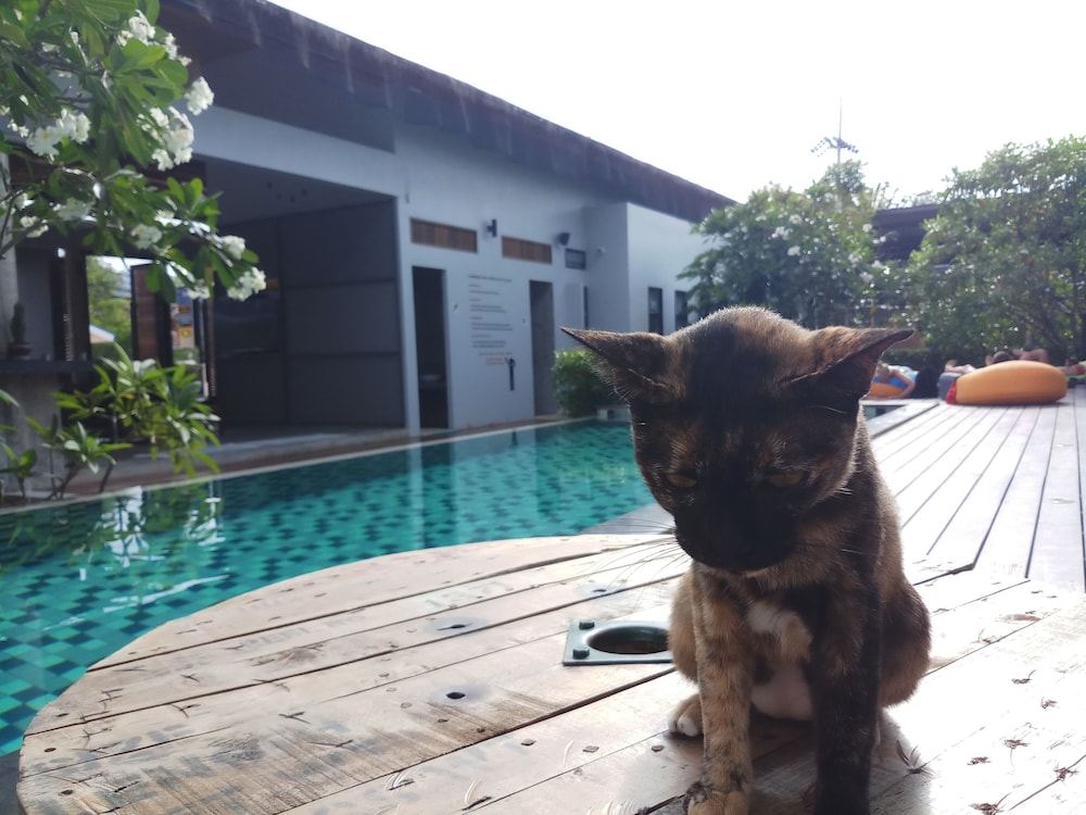Us Hostel Samui