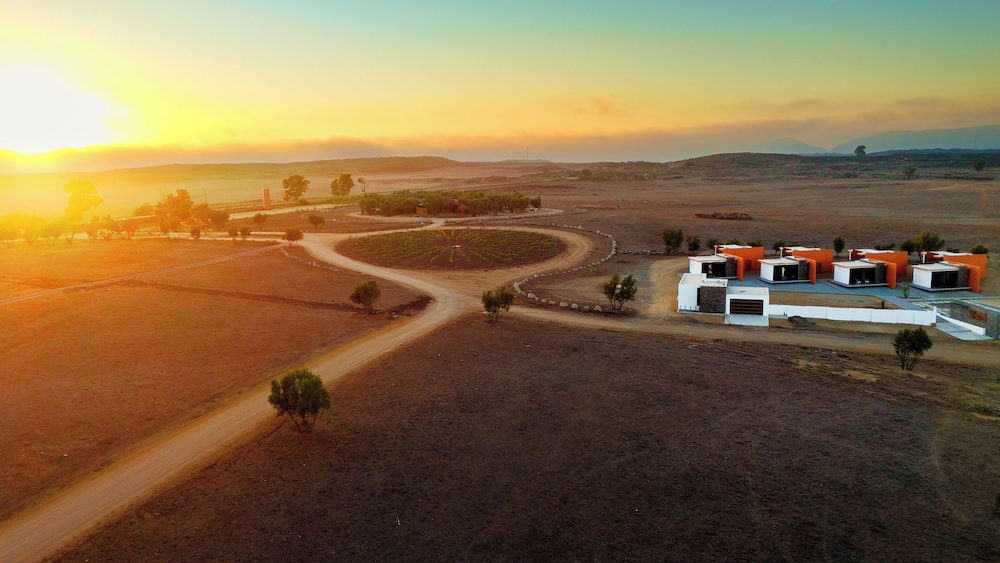 Ariché en Valle de Guadalupe