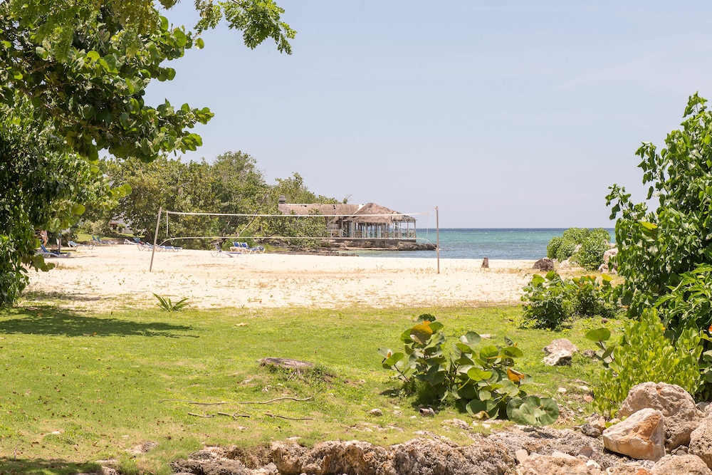 Mango Beach Studio