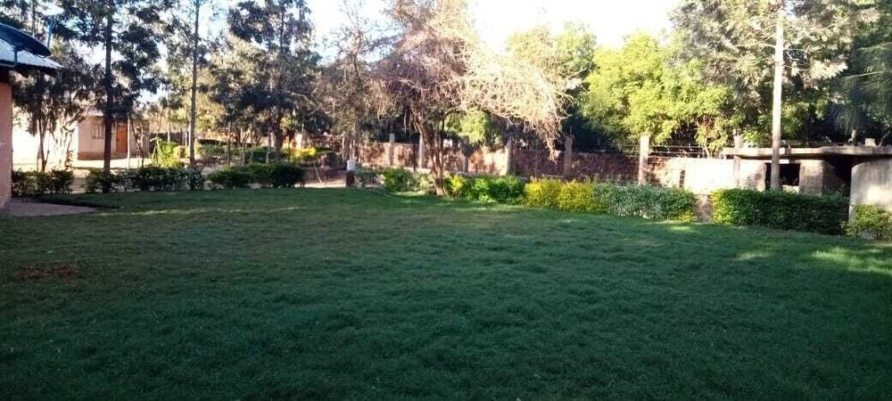Photo 47