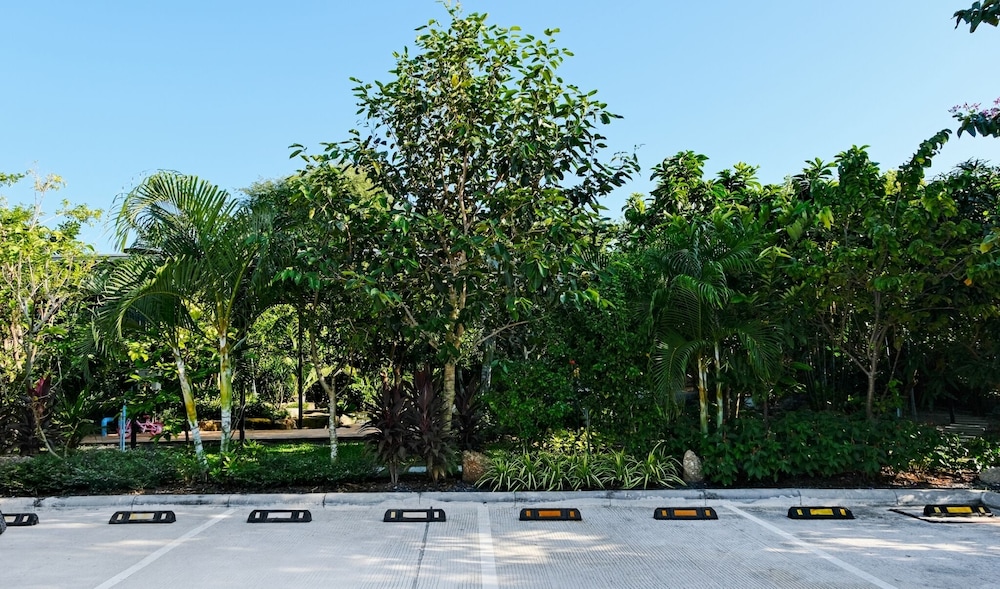 Lush Inn Phuket