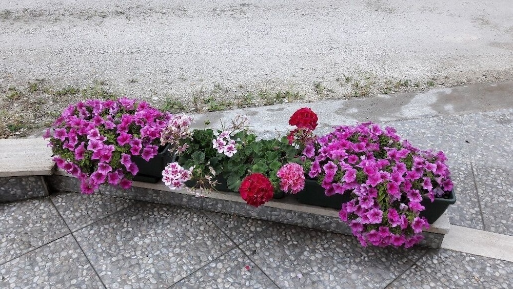 Photo 49