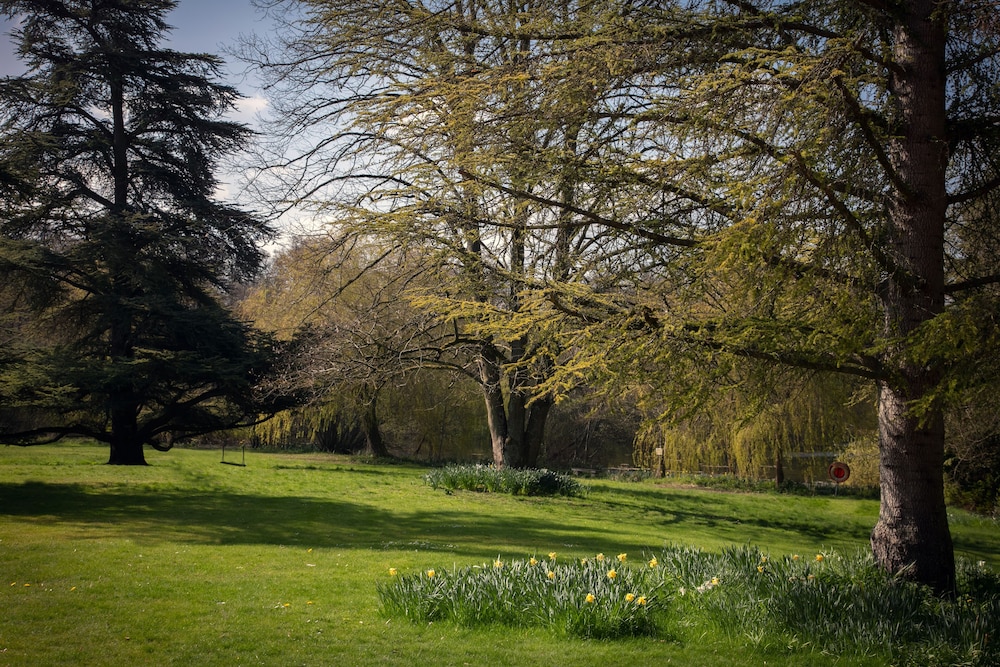 Winchester Vacations - Norton Park Hotel, Spa  Manor House - Property Image 21