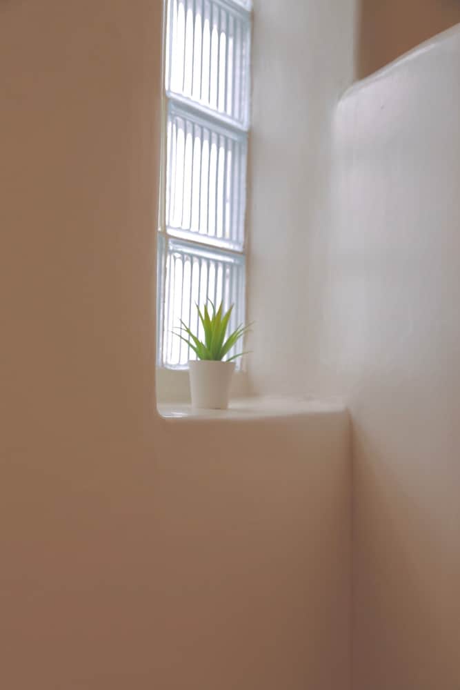 Photo 50