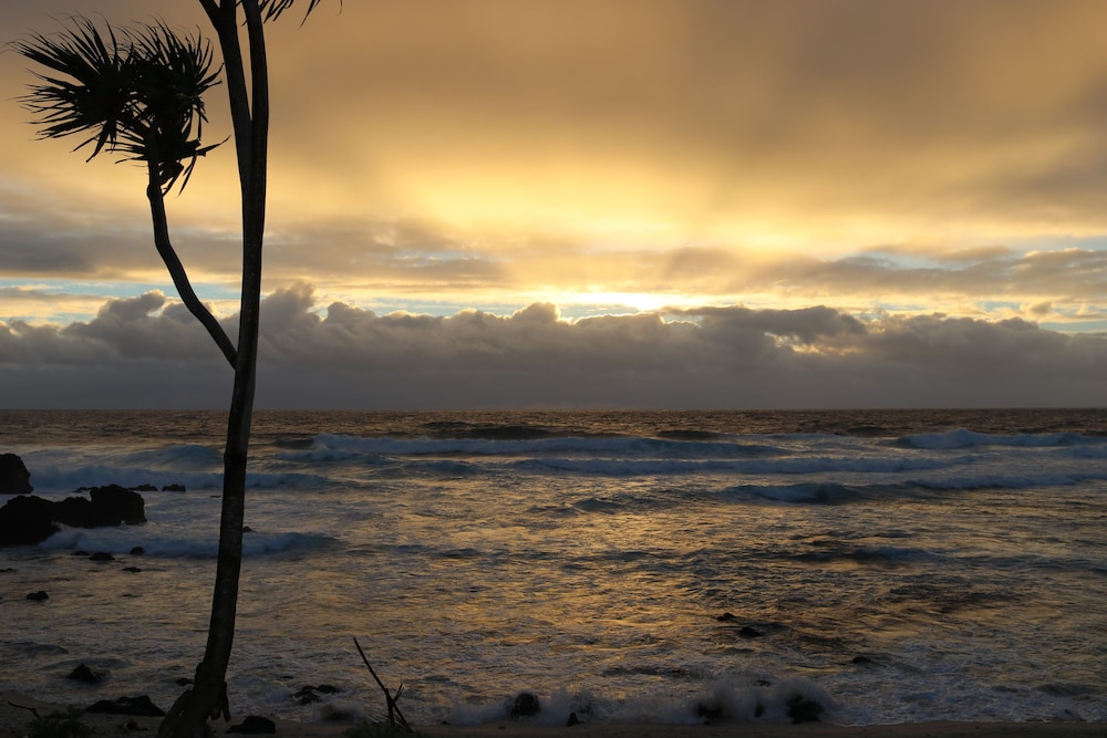Tanna Horizon Bungalows & Tours