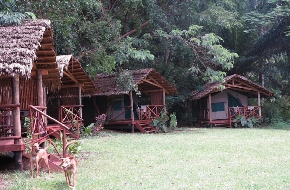 Simbamwenni Lodge and Camping, photo 21