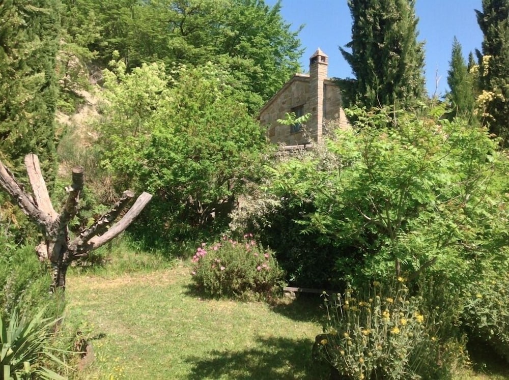 Photo 26