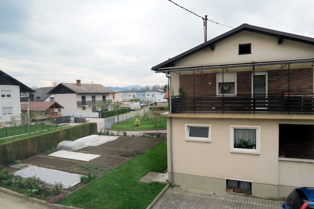 Photo 51