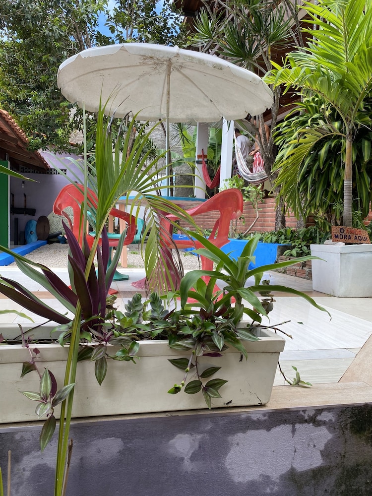 Macaco Surf House - Hostel