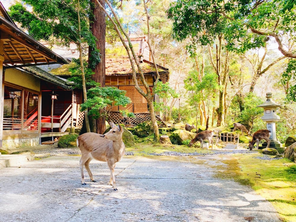 Tsukihitei Ryokan