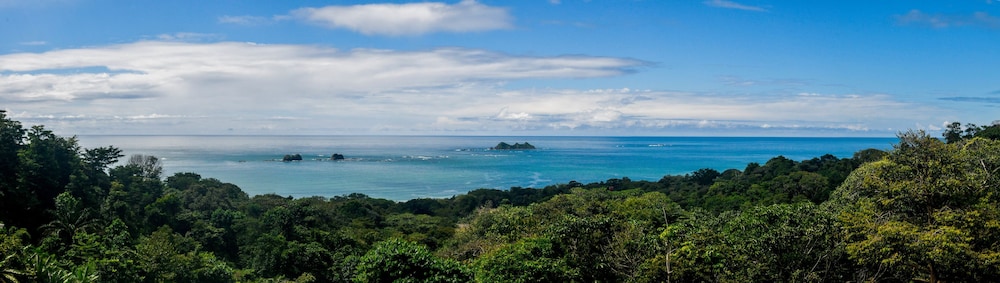 Hotel Many's House - La Joya De Ballena - Image 1