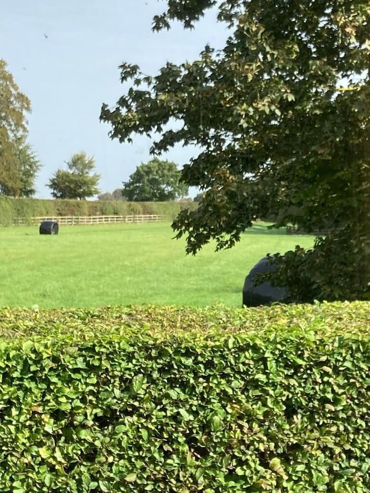 Marlborough Vacations - Beautifully Set 3-bed Cottage in Marlborough - Property Image 9