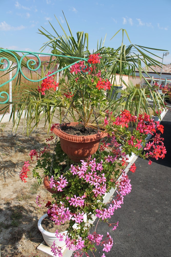 Photo 20