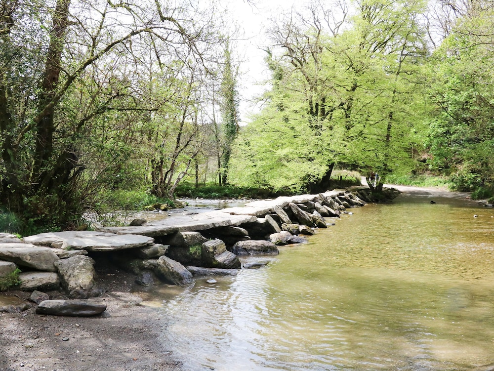 Hoglets