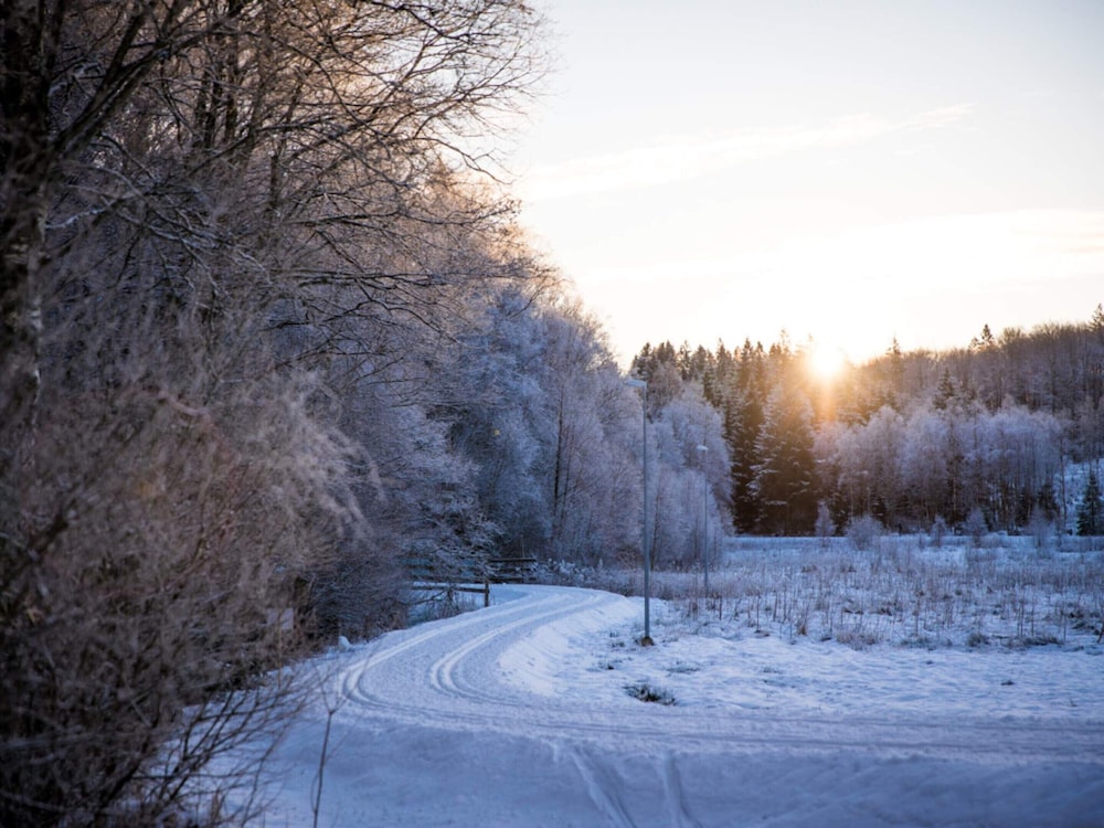 4 Person Holiday Park Home in Rolfstorp
