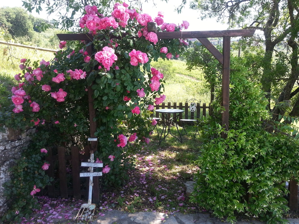 Photo 32