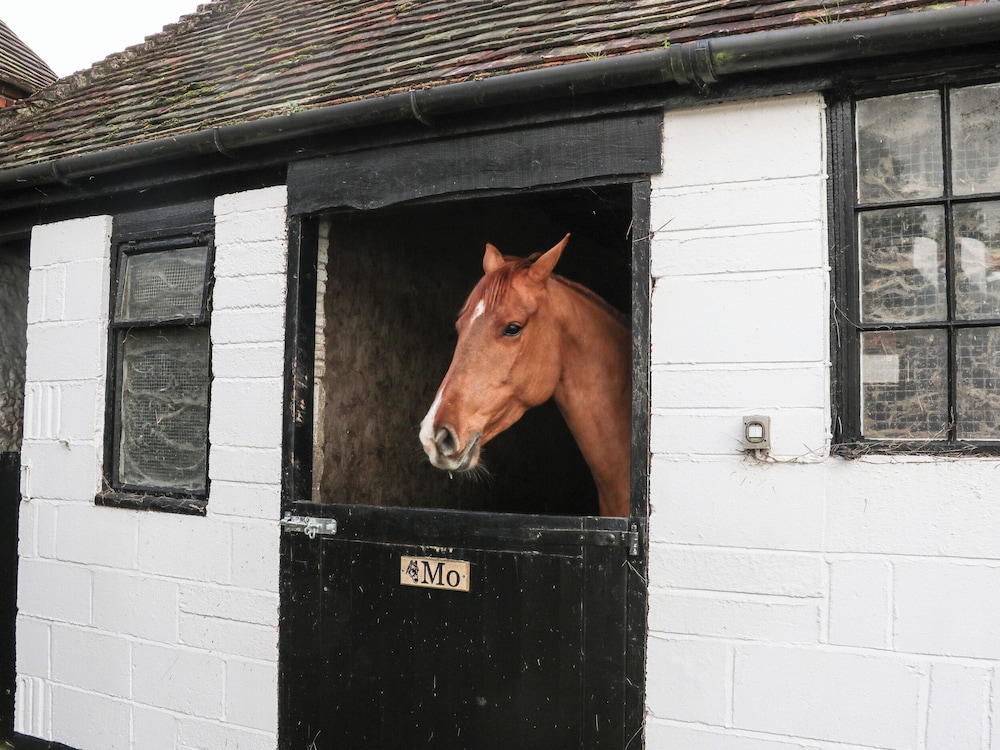 Calvin's Cottage