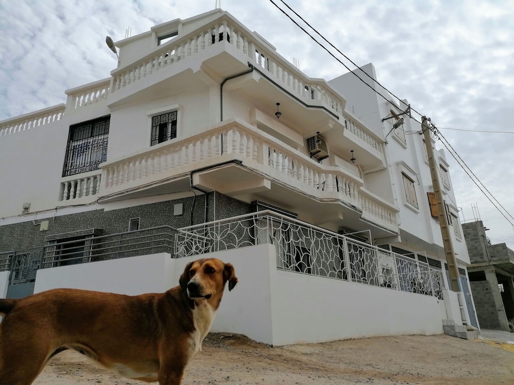 Cozy White House - Hostel