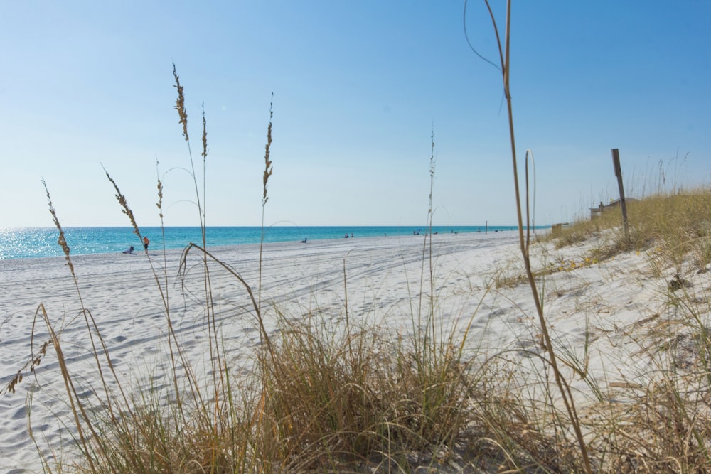 Coastal Hideaway: Cozy Beachfront Studio Sleeps 4 With Stunning Views!