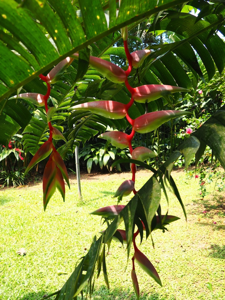 La Finca Chica